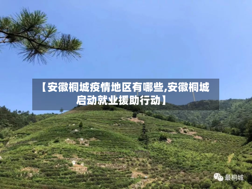 【安徽桐城疫情地区有哪些,安徽桐城启动就业援助行动】