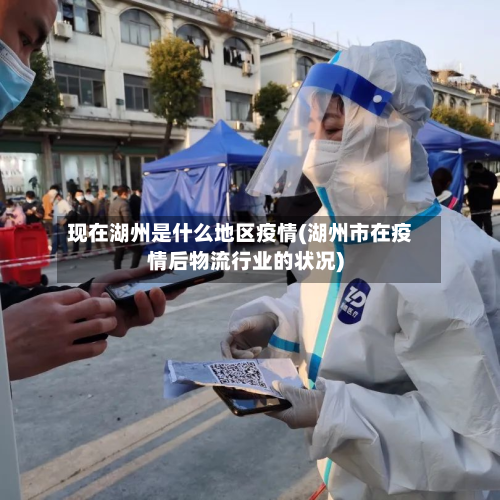 现在湖州是什么地区疫情(湖州市在疫情后物流行业的状况)