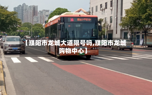 【濮阳市龙城大道限号吗,濮阳市龙城购物中心】-第3张图片