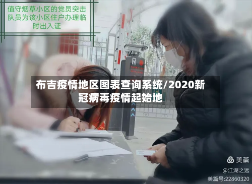布吉疫情地区图表查询系统/2020新冠病毒疫情起始地-第3张图片