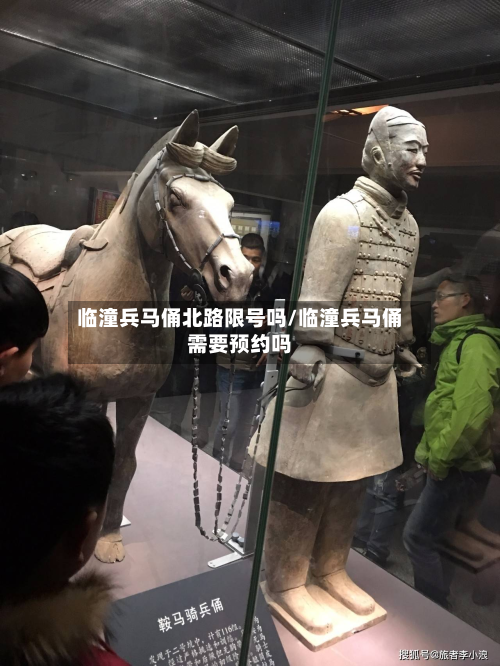 临潼兵马俑北路限号吗/临潼兵马俑需要预约吗