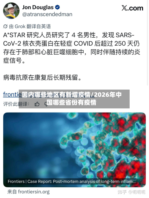 国内哪些地区有新增疫情/2026年中国哪些省份有疫情-第3张图片