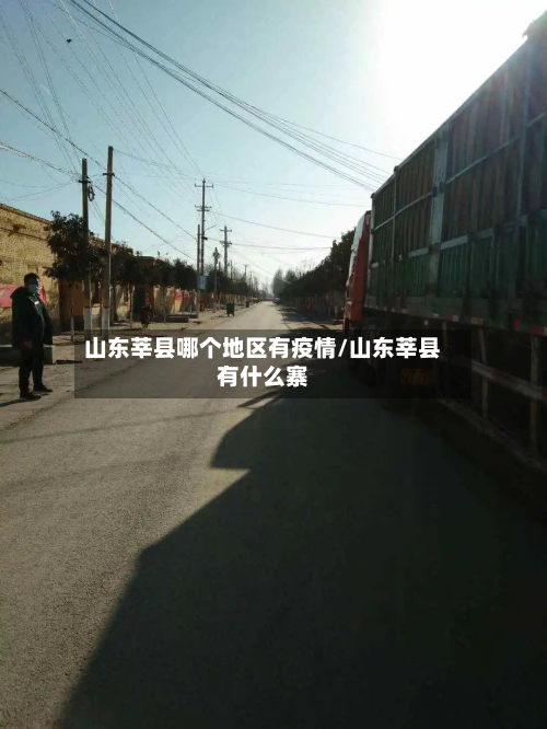 山东莘县哪个地区有疫情/山东莘县有什么寨