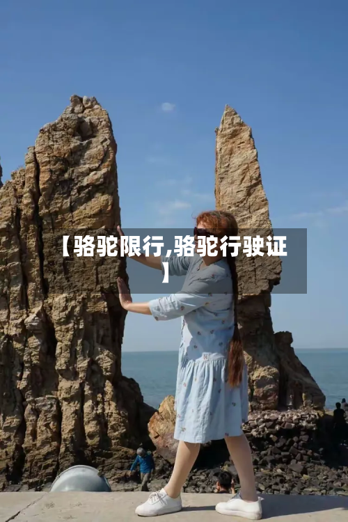 【骆驼限行,骆驼行驶证】-第2张图片