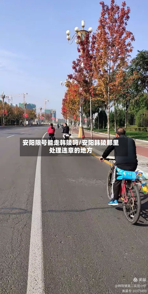 安阳限号能走韩陵吗/安阳韩陵那里处理违章的地方