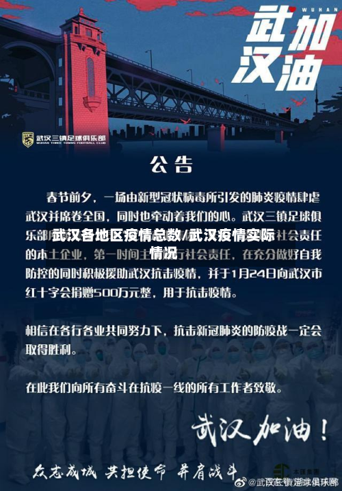 武汉各地区疫情总数/武汉疫情实际情况
