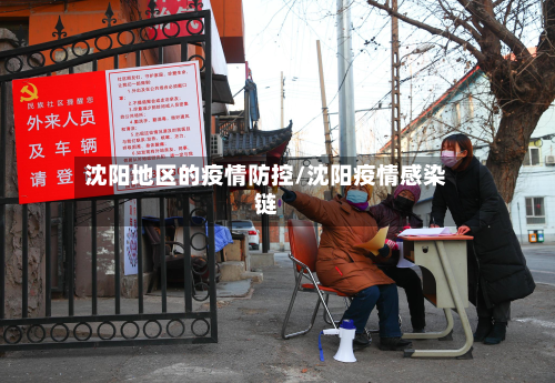 沈阳地区的疫情防控/沈阳疫情感染链