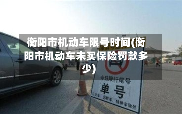 衡阳市机动车限号时间(衡阳市机动车未买保险罚款多少)-第2张图片