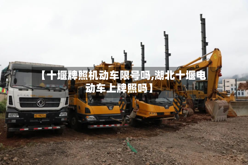 【十堰牌照机动车限号吗,湖北十堰电动车上牌照吗】-第2张图片