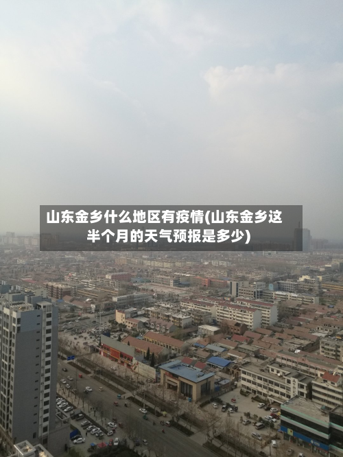 山东金乡什么地区有疫情(山东金乡这半个月的天气预报是多少)