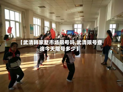 【武清韩家墅市场限号吗,武清限号查询今天限号多少】-第2张图片