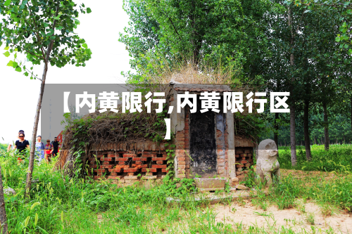 【内黄限行,内黄限行区】-第2张图片