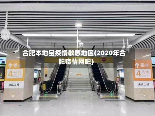 合肥本地宝疫情敏感地区(2020年合肥疫情网吧)