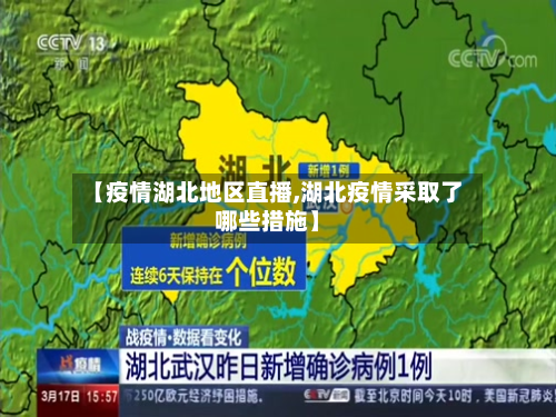 【疫情湖北地区直播,湖北疫情采取了哪些措施】-第2张图片