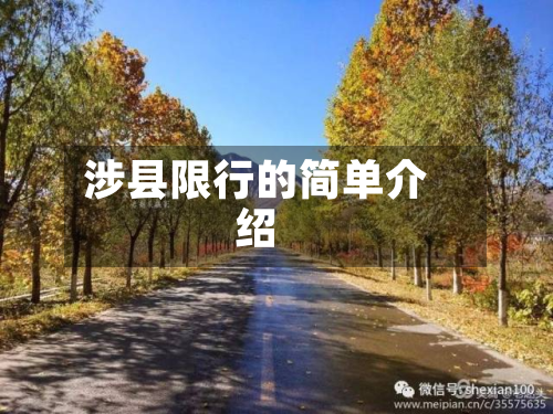 涉县限行的简单介绍