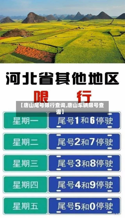 【唐山尾号限行查询,唐山车辆限号查询】-第3张图片