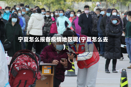 宁夏怎么报备疫情地区呢(宁夏怎么去)