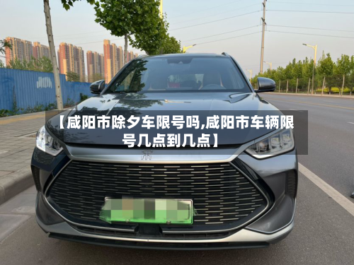 【咸阳市除夕车限号吗,咸阳市车辆限号几点到几点】-第3张图片