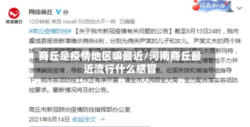 商丘是疫情地区嘛最近/河南商丘最近流行什么感冒-第3张图片