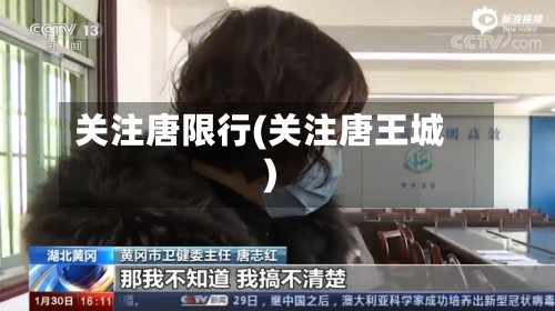 关注唐限行(关注唐王城)