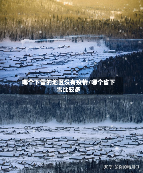 哪个下雪的地区没有疫情/哪个省下雪比较多