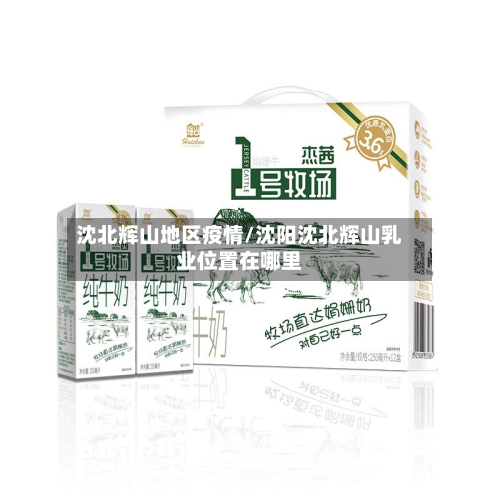 沈北辉山地区疫情/沈阳沈北辉山乳业位置在哪里