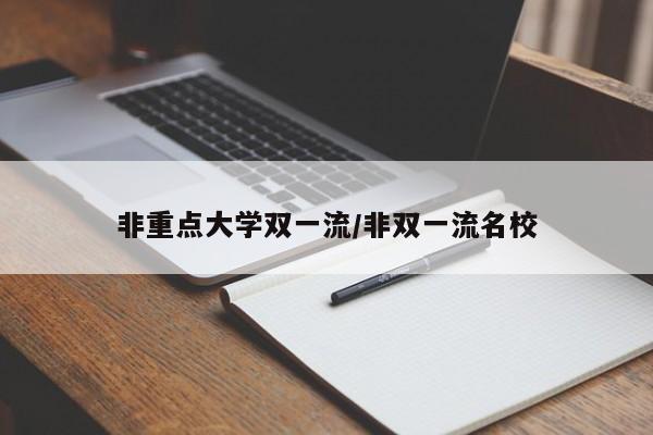 非重点大学双一流/非双一流名校
