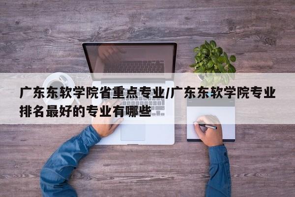 广东东软学院省重点专业/广东东软学院专业排名最好的专业有哪些