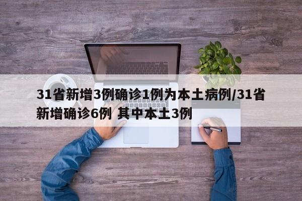 31省新增3例确诊1例为本土病例/31省新增确诊6例 其中本土3例