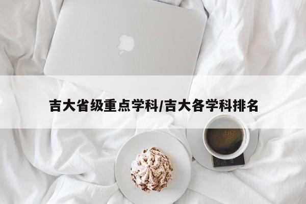 吉大省级重点学科/吉大各学科排名