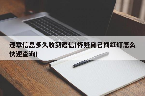 违章信息多久收到短信(怀疑自己闯红灯怎么快速查询)