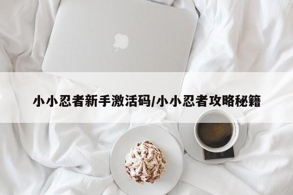 小小忍者新手激活码/小小忍者攻略秘籍
