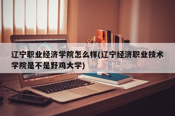 辽宁职业经济学院怎么样(辽宁经济职业技术学院是不是野鸡大学)