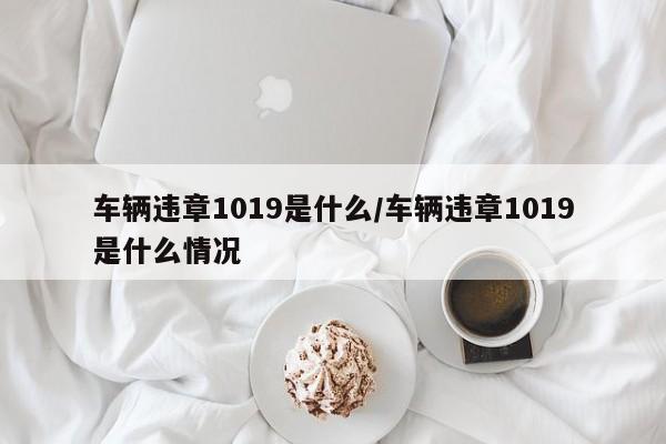 车辆违章1019是什么/车辆违章1019是什么情况