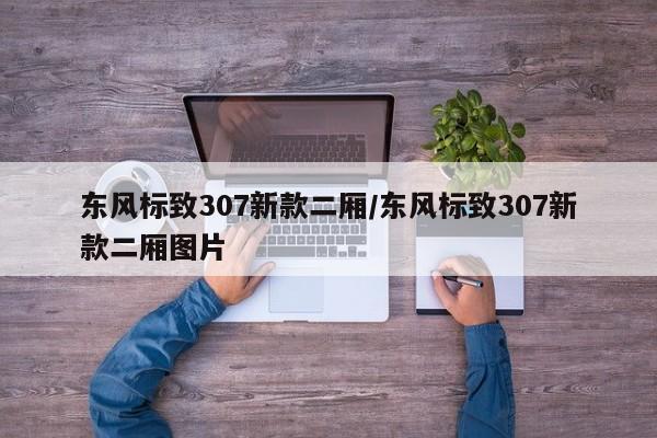 东风标致307新款二厢/东风标致307新款二厢图片
