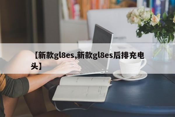 【新款gl8es,新款gl8es后排充电头】