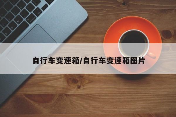 自行车变速箱/自行车变速箱图片