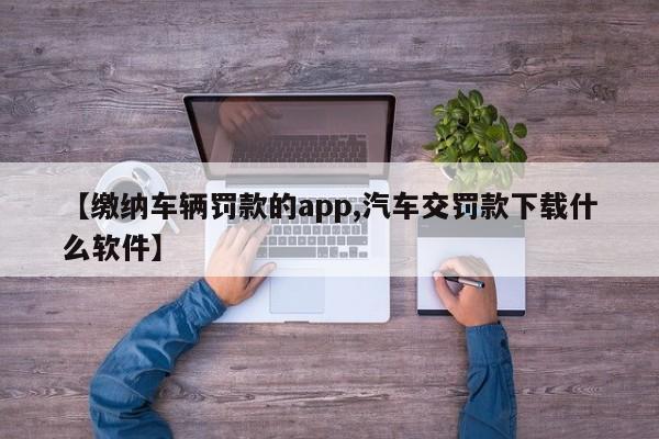 【缴纳车辆罚款的app,汽车交罚款下载什么软件】