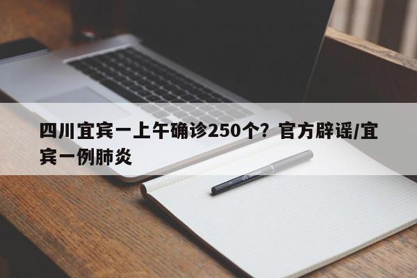 四川宜宾一上午确诊250个?官方辟谣/宜宾一例肺炎
