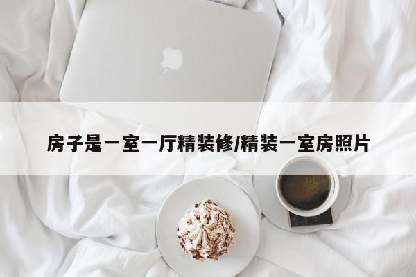 房子是一室一厅精装修/精装一室房照片