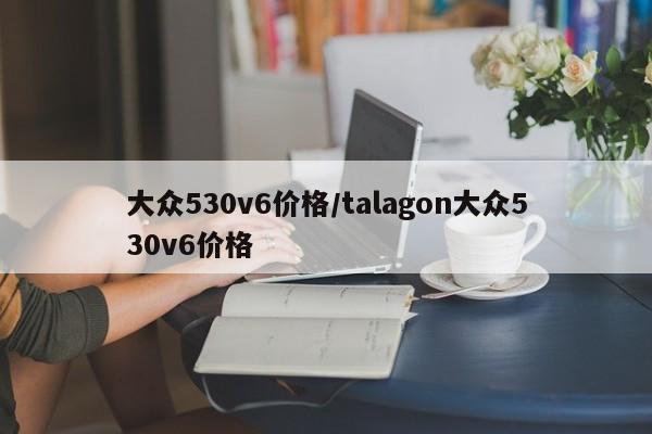 大众530v6价格/talagon大众530v6价格