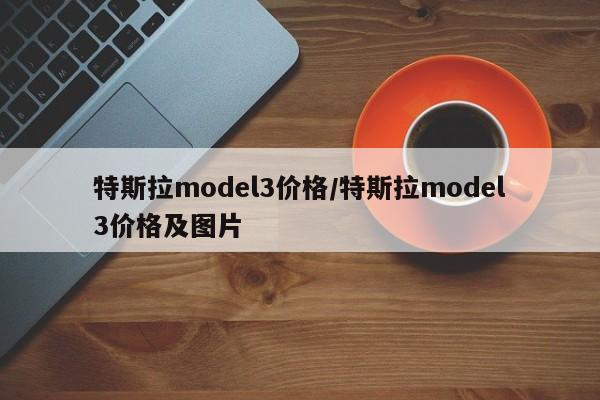 特斯拉model3价格/特斯拉model3价格及图片