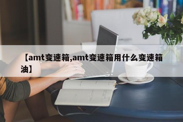 【amt变速箱,amt变速箱用什么变速箱油】