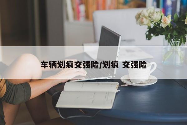 车辆划痕交强险/划痕 交强险