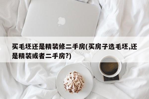 买毛坯还是精装修二手房(买房子选毛坯,还是精装或者二手房?)