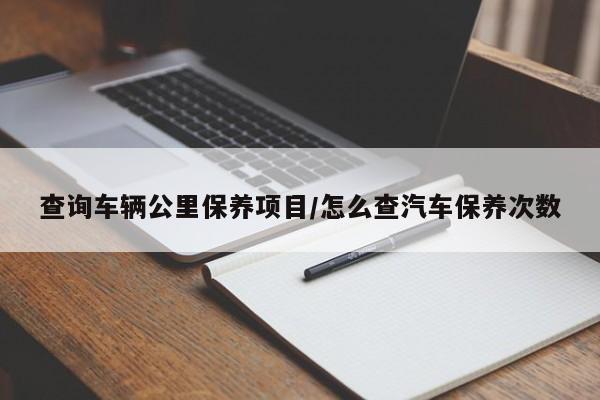 查询车辆公里保养项目/怎么查汽车保养次数
