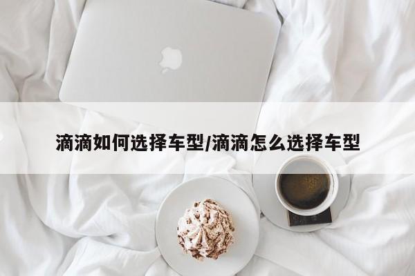滴滴如何选择车型/滴滴怎么选择车型