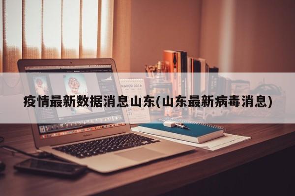 疫情最新数据消息山东(山东最新病毒消息)