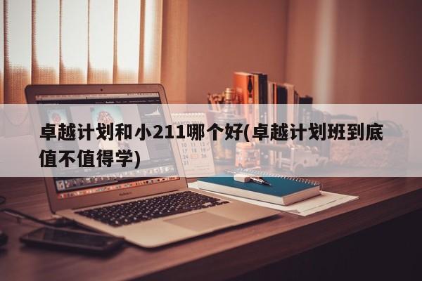 卓越计划和小211哪个好(卓越计划班到底值不值得学)