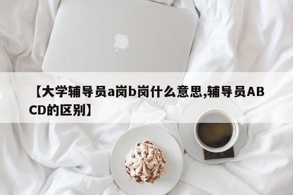 【大学辅导员a岗b岗什么意思,辅导员ABCD的区别】